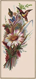 Daisies: Daisy, Bird and Butterfly