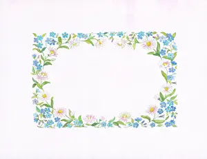 Forget Me Not: Daisy and Forget-me-not Border