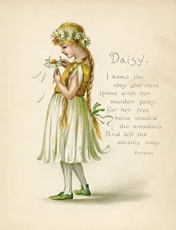 Plaited: Daisy / Language of Flowers