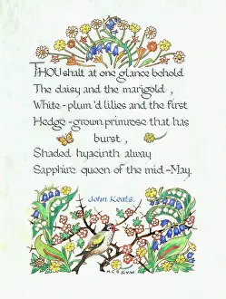Glance: The daisy and the marigold