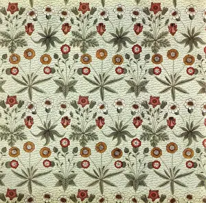 Daisies: Daisy Pattern
