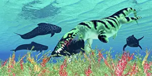 Hungry: Dakosaurus captures a pilot whale in its mouth