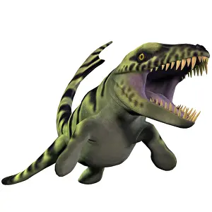 Serrated: Dakosaurus, white background