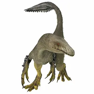 Talon: Dakotaraptor dinosaur, front view
