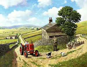 Nuffield: The Dales, 1948 Nuffield Universal Tractor