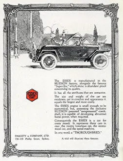 Roomy: Dalgety & Company Advertisement