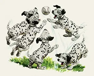 Bounced: Dalmatian Baseball