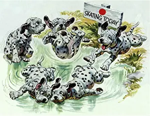 Sliding: Dalmatian Puppies