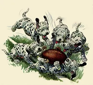 Cradles: Dalmatians and Football