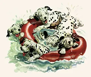 Afloat: Dalmatians Rafting