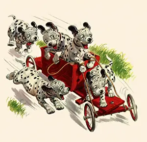 Dalmatians: Dalmatians Ride Cart