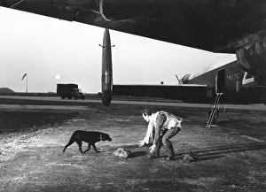Busters: THE DAM BUSTERS