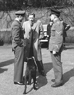 Dambusters: THE DAM BUSTERS