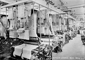 Damask: Damask Looms