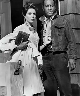 Wynter: Dana Wynter - Raymond St. Jacques