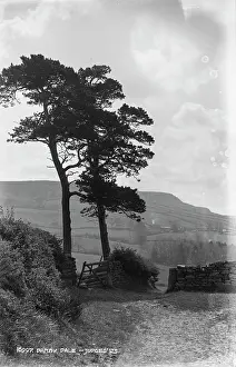 Danby: Danby Dale - Judges LB
