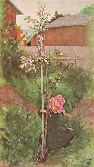 The Dance Around the Apple Tree