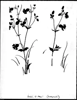 Fairyland: Dance O Mice (background)