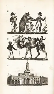 Darton: Dancing Bear and Dog, Camel and Monkey and the
