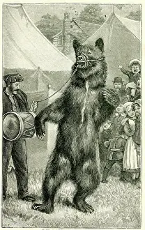 Drummer: Dancing bear and drummer