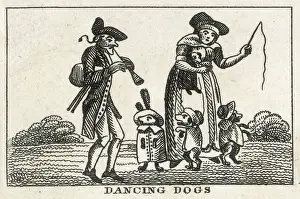 Tune: DANCING DOGS