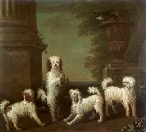 Wootton: The Dancing Dogs