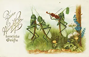 Grasshoppers: Dancing Grasshoppers - Russian Postcard