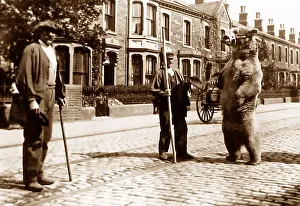 Colne: Dancing performing bear, Colne Road, Burnley