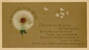 Wishing: DANDELION CLOCK & PRAYER