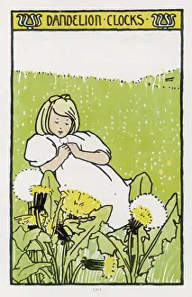 Taraxacum: DANDELION CLOCKS