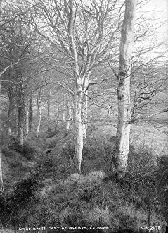 Visible: In the Danes Cast at Scarva, Co. Down