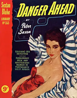 Sexton: Danger Ahead - Cover by David Wright