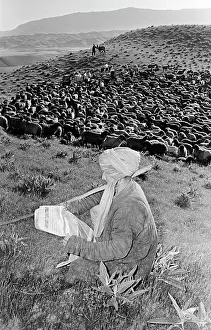 Sovkhoz: Danghara sovkhoz in Tajik SSR
