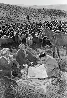 Shepherds: Danghara sovkhoz in Tajik SSR