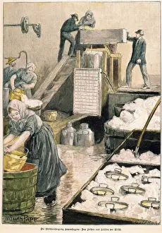 Straining: Danish dairy 1897