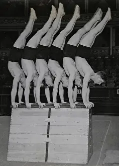 Handstand: Six Danish gymnasts are doing a handstand
