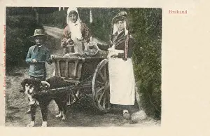 Drafting: Danish Milkmaids with their dog cart