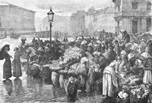 Veggie: DANISH VEGGIE MARKET