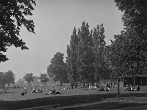 Alexander Brims: DANSON PARK