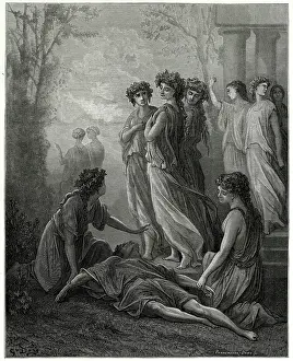 Haughty: Daphnis - Alcimadura