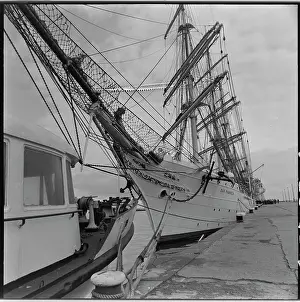 Gdynia: Dar Pomorza - sailing ship