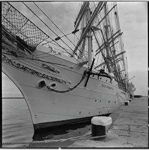Gdynia: Dar Pomorza - sailing ship