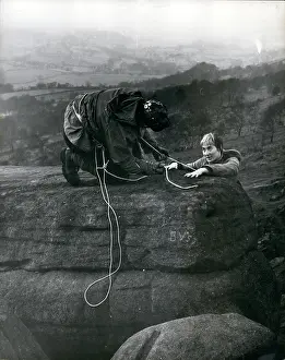 Instructors: Daredevils - Stunts