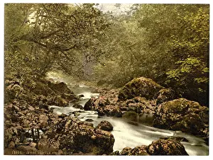Dargle: In the Dargle. County Wicklow, Ireland