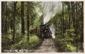 Darjeeling: Darjeeling Avenue with Train