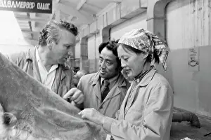 Consultant: Darkhan fur coat factory