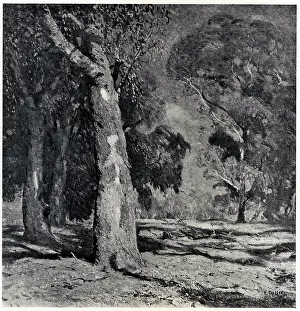 Brookes: Darling River