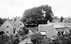 Dartington: Dartington