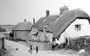 Dartington: Dartington