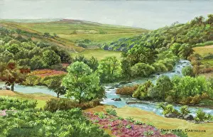 Dartmeet: Dartmeet, Dartmoor, Devon